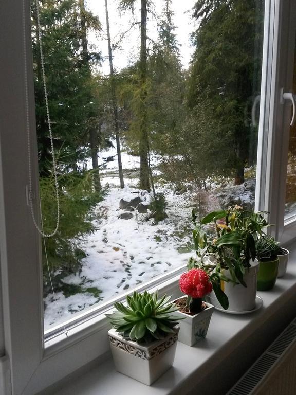 Celik Family Apartment Štrbské Pleso Екстериор снимка