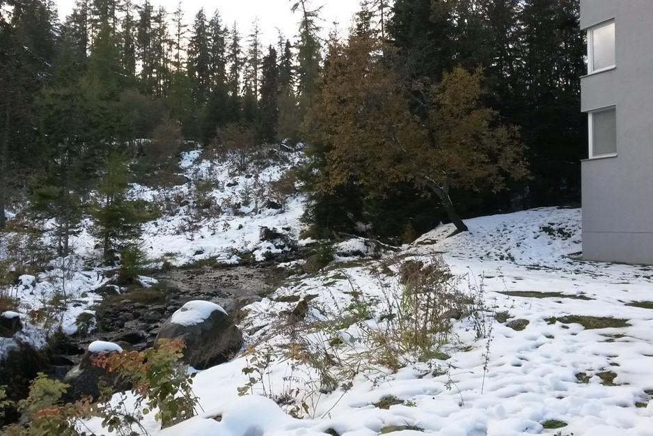 Celik Family Apartment Štrbské Pleso Екстериор снимка